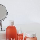 에이 앤 비(A&B) | 브이앤에이 안티옥시던트 토너 앰플 크림까지 무신사 뷰티 페스타 내돈내산 후기