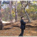 천수만목장 이미지