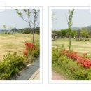 비바체모텔 이미지