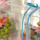 시온팜스 이미지