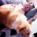 인섹트 파워 이미지