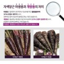 부림농장 이미지