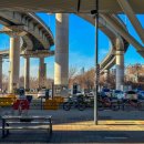 뚝섬한강공원-97 이미지