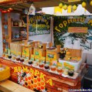 내맘대로 세계여행 이미지