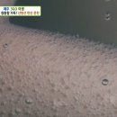 탄산온천매점