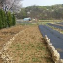 골말농장 이미지