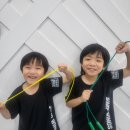 아리솔태권도 이미지