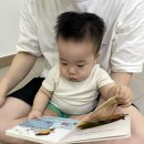 한중일. 세 나라 사람들 이야기 : 상호인식과 행동양식 | [몬테소리 AMI] 아기에게 &#39;어떤 책&#39;을 &#39;어떻게&#39; 보여줘야 할까? (+ 책추천 / 꿀팁 🍯)
