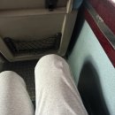 천흥상사 | 25.9.29~10.5 녜의 주간일기 (당첨되어라 로또)