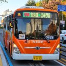 대동백화점(시민생활체육관방면) 이미지