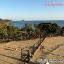 제주GD스테이 민박 | 서귀포 애견동반 민박 바다뷰가 멋진 숙소 모루티스테이