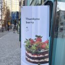 땡큐베리(Thankyou berry) 네이버블로그