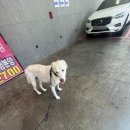 개신남 10호점 이미지