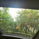 제이몽애견펜션 이미지