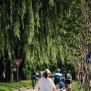 한강 자전거도로10 이미지