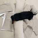 도기냐미 이미지