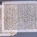 파리장서비 이미지