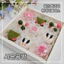 11650-1-10-573 | 일산 화과자 시은공방 원데이클래스 다녀온 후기 | 예쁜 상견례 선물·답례품 추천