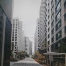 고색중학교 이미지