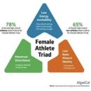 제이(J)에너지 이미지