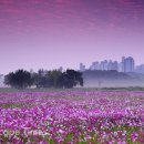 두배농장 이미지