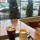 팥티오운정(PATTIO) | 파주 운정 &#39;팥티오(Pattio)&#39; 대형 베이커리 카페 내돈내산 후기 (주차, 메뉴, 실내)