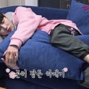 핑크(pink) 이미지