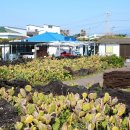 한림읍 월령리마을 이미지