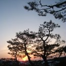 서일화성 이미지