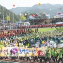 홍천 무궁화축제 2017 이미지