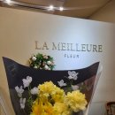 신사힐스약국 이미지