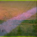 여주참숯마을 캠핑장 | 여주 참숯마을 캠핑장 이용 후기