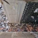 금호3차 아파트 이미지