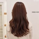 미오헤어 이미지