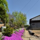 국토종주 남한강자전거길(현덕교~앙덕리마을회관) | 경기옛길 : 평해길 - 제6길 거무내길