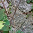 주야장창 이미지