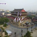 라이프25시 네이버블로그