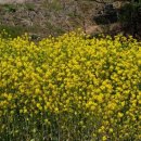 반곡리 마을회관 이미지