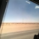 무지갯빛 | [볼리비아 여행] 우유니 소금사막 2박 3일 투어 후기