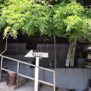 프리돈가스 이미지