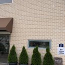 용두카페 | [광양] 푸릇한 잎사귀가 잔뜩 보이는 애견동반 테라스 카페 “카페용두” 내돈내산 후기