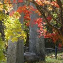 부석사 입구 이미지