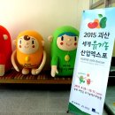 괴산군 주간행사계획(5. 18.~5. 24.) 이미지