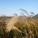 소낭 2호점 이미지