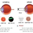 병성