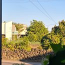 산도록 | 제주 성산 감성 소품샵 &#39;산도록 휴&#39;에서 만난 특별한 제주