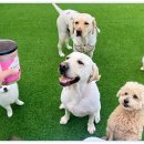 아이조아 요양보호소 경기광주 이미지