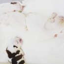 비케이 - 남동구 | 비케이