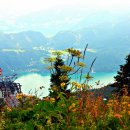 D.H부동산공인중개사사무소 이미지