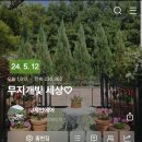 두미르영외마트 | [공지] 🍀제 블로그의 베스트 글 모음^^ 수시 업뎃 됩니다😁^^